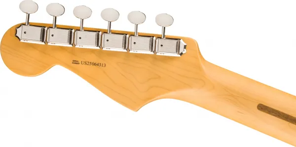 Fender American Professional Classic Stratocaster HSS RW Faded Sherwoo