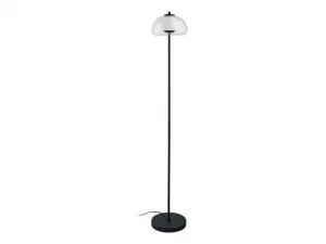 Livarno home Stojacia LED lampa (transparentná)