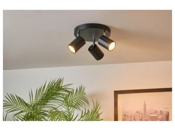 Livarno home Stropné svietidlo