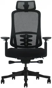 MERCURY Ergonomická kancelárska stolička LUCIA čierna