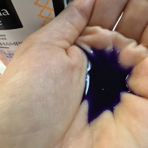 Tónovací šampón na vlasy  Nuggela & Sulé 250ml