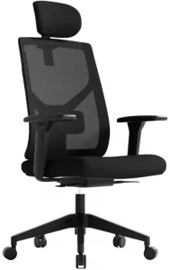 MERCURY Ergonomická kancelárska stolička ARES čierna, vysoké postavy