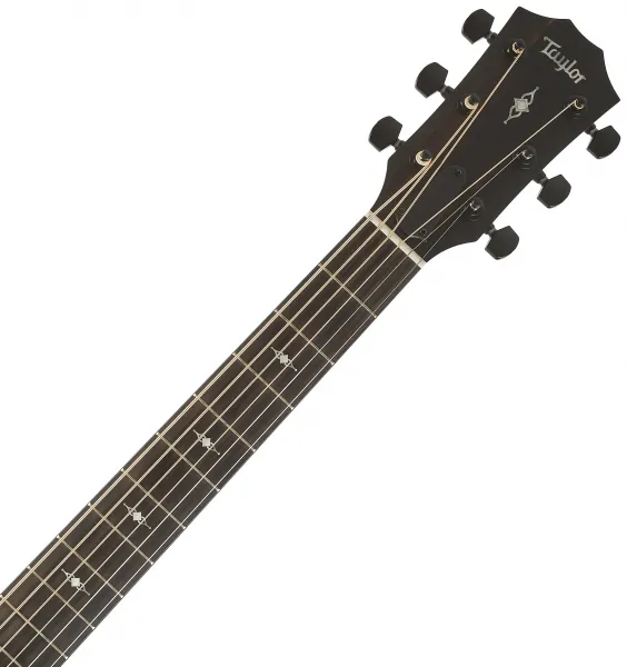 Taylor 324ce Baritone-6 LTD