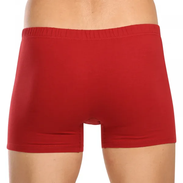 3PACK pánske boxerky Andrie viacfarebné (PS 5779) L, trenky