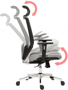 ANTARES Ergonomická kancelárska stolička EDGE sivá