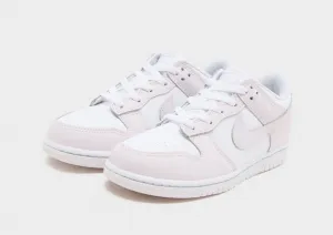 Nike Dunk Low Bp