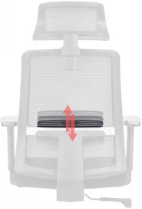 ANTARES Ergonomická kancelárska stolička DELFO, čierna
