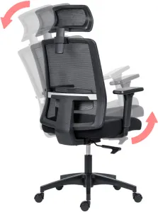 ANTARES Ergonomická kancelárska stolička DELFO, čierna