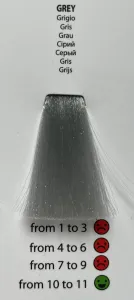 Nouvelle Rev Up farebná maska - 200 ml - Grey - sivá