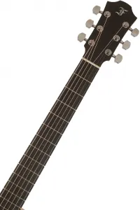 Furch Blue Plus D-CM CNR Active