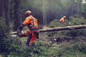 Reťazová píla HUSQVARNA 564 XP® Fuel Inject