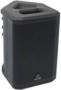 Behringer B1C