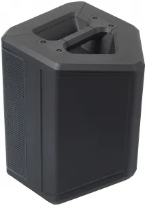 Behringer B1C