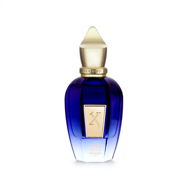 Xerjoff More than Words parfumovaná voda unisex 100 ml