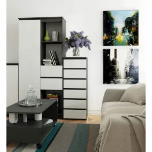 Ak furniture Komoda CL6 40 cm grafitově šedá/bílá