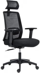ANTARES Ergonomická kancelárska stolička DELFO, čierna