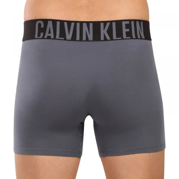 3PACK pánske boxerky Calvin Klein viacfarebné (NB3609A-ZDB) L, trenky