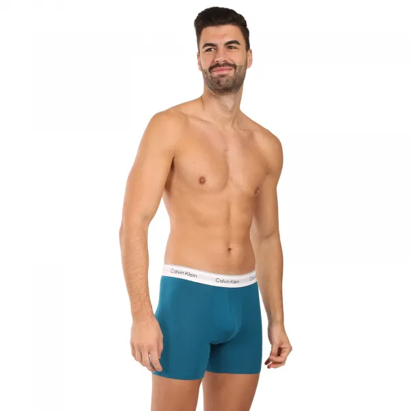 3PACK pánske boxerky Calvin Klein viacfarebné (NB4567-2VI) M, trenky