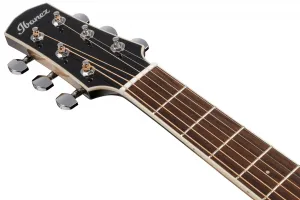 Ibanez AAM370M1CE Transparent Panda