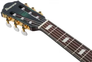Ibanez FRH20FMN Deep Emerald Green