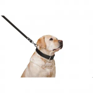 Kožené vodítko čierne 122cm 1