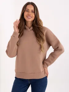 Sweatshirt-RV-BL-A1006.27-dark beige