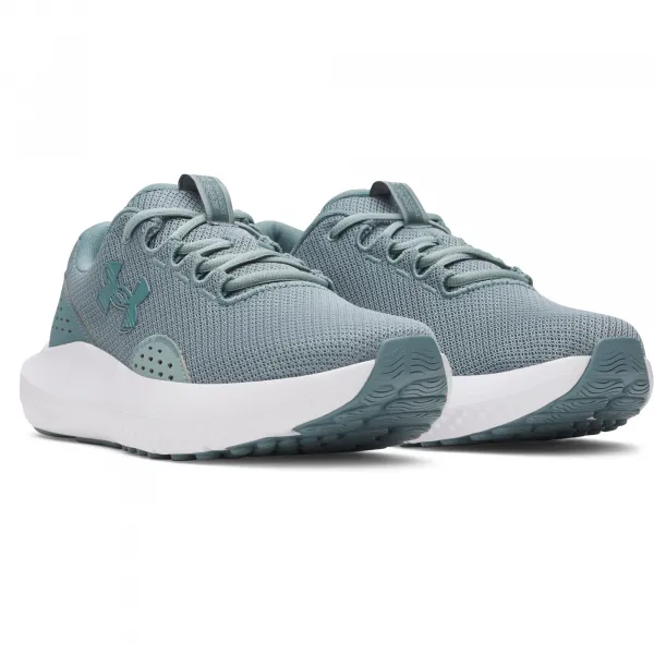 Men's shoes Under Armour Charged Surge 4