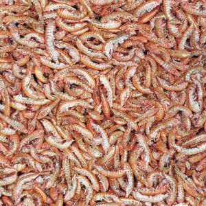 TROPICAL Gammarus 1000ml/120g prírodné krmivo