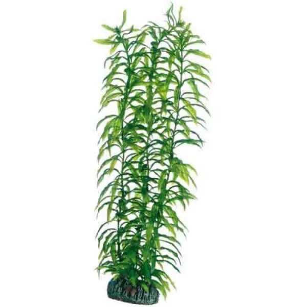 HOBBY Plantasy Set 5- Sada umelých rastlín 5