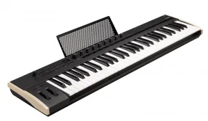 Korg Keystage 61