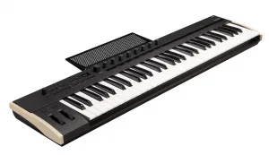 Korg Keystage 61