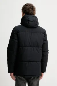 Bunda Hollister Co.