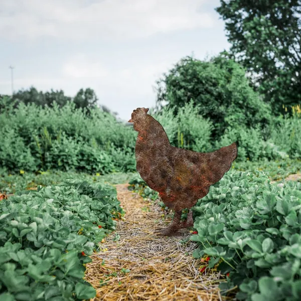 Záhradná dekorácia Chicken -A 01