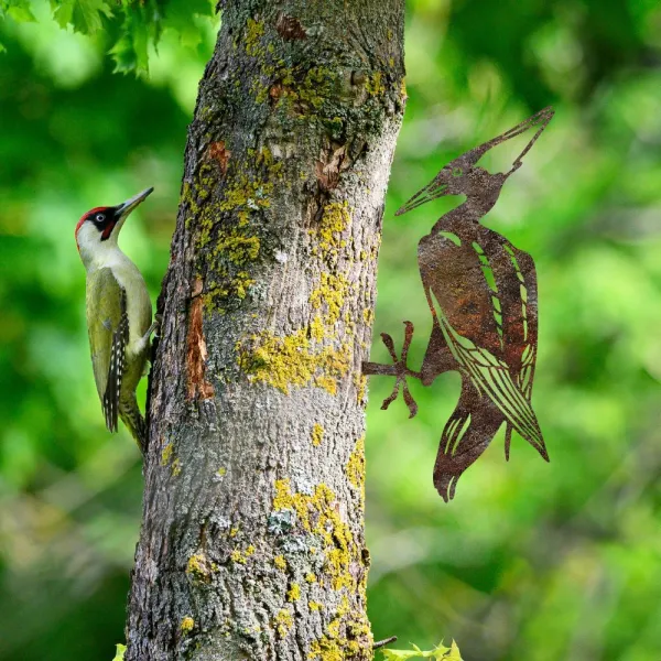 Záhradná dekorácia Bird On The Branch 10 - Brown