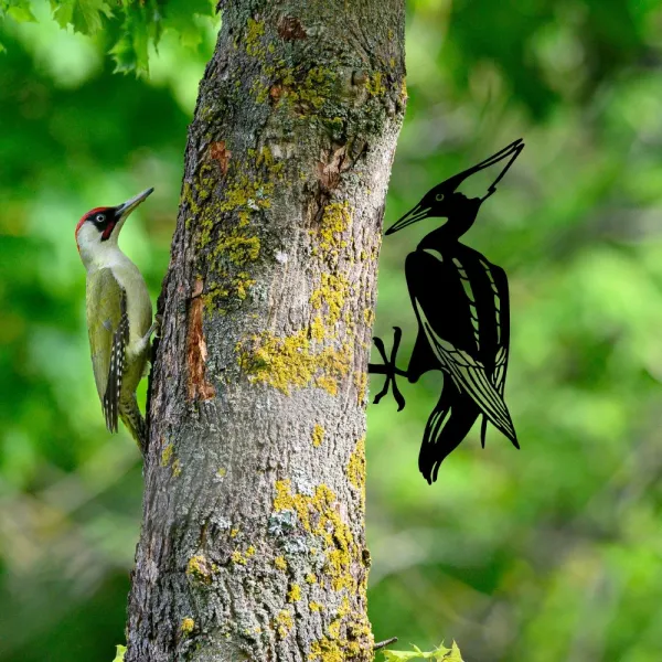 Záhradná dekorácia Bird On The Branch 10 - Black