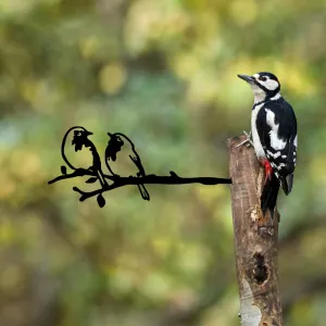 Záhradná dekorácia Bird On The Branch 06 - Black