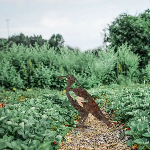 Záhradná dekorácia Bird -A 02