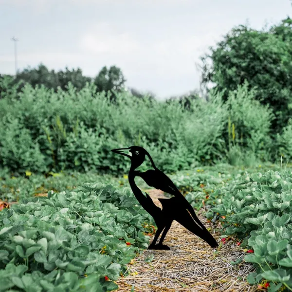 Záhradná dekorácia Bird 02