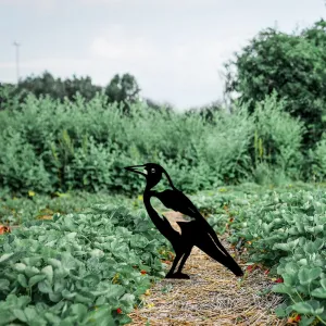 Záhradná dekorácia Bird 02