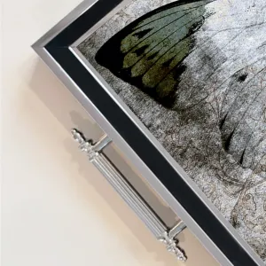 Tray TPG9945
