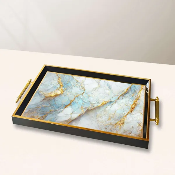 Tray TPA10033