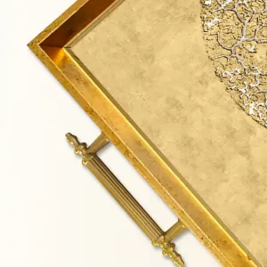 Tray TPEA9842