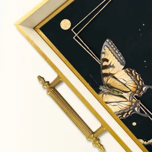 Tray TPB9929