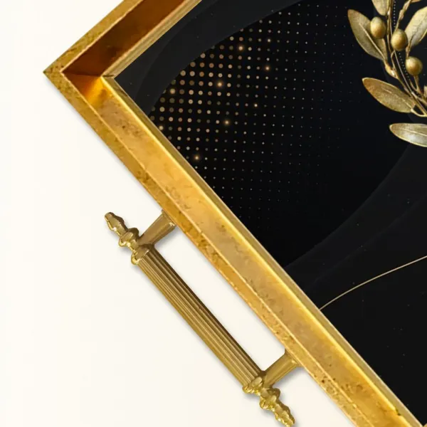 Tray TPEA9764