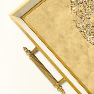 Tray TPB9842