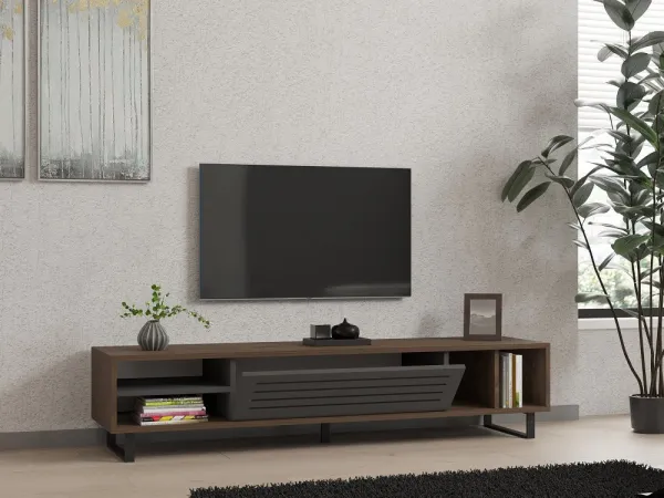 TV stolík Eray - Walnut, Anthracite