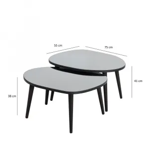 Sada odkladacích stolíkov (2 kusy) Gusto Set- Black, Fume