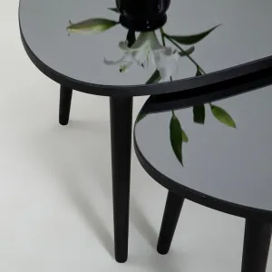 Sada odkladacích stolíkov (2 kusy) Gusto Set- Black, Fume