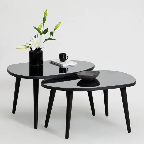 Sada odkladacích stolíkov (2 kusy) Gusto Set- Black, Fume