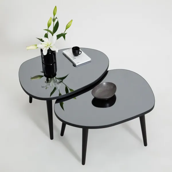 Sada odkladacích stolíkov (2 kusy) Gusto Set- Black, Fume